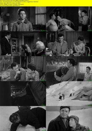 Storm Fear 1955 BRRip XviD MP3-XVID