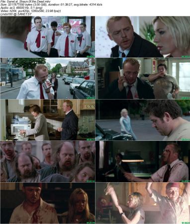 Shaun Of The Dead 2004 720p BRRip x264 AC3 DiVERSiTY