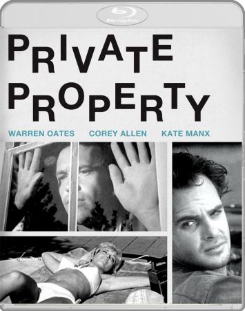 Private Property 1960 BRRip XviD MP3-XVID