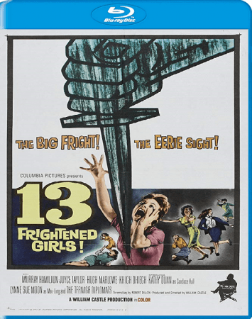 13 Frightened Girls 1963 BRRip XviD MP3-XVID