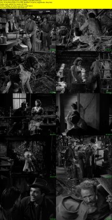Swamp Water 1941 BRRip XviD MP3-XVID