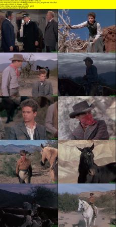 Cattle Drive 1951 BRRip XviD MP3-XVID