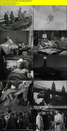 The Beast from 20000 Fathoms 1953 BRRip XviD MP3-XVID