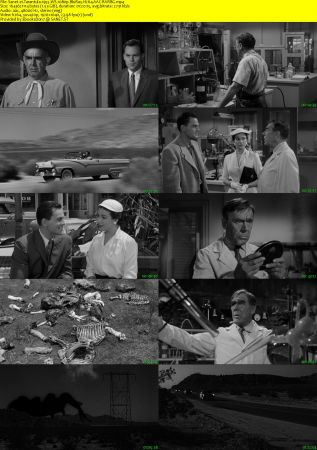 Tarantula 1955 WS 1080p BluRay H264 AAC-RARBG