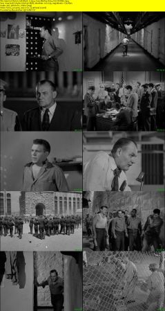 Riot in Cell Block 11 1954 720p BluRay H264 AAC-RARBG