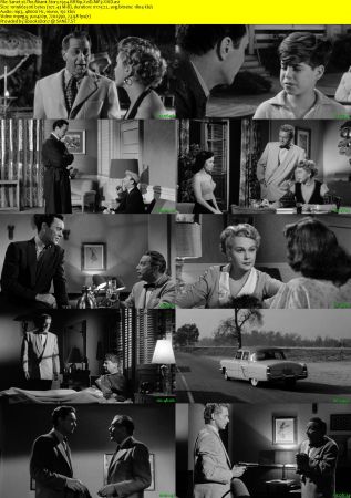 The Miami Story 1954 BRRip XviD MP3-XVID