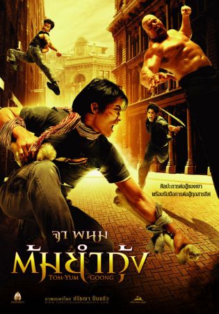 The Protector 2005 720p BluRay x264-YTS
