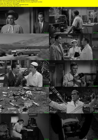 Tarantula 1955 WS 720p BluRay H264 AAC-RARBG
