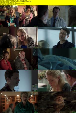 The Christmas Heart 2012 BRRip XviD MP3-XVID