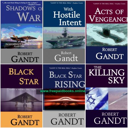 Brick Maxwell series by Robert Gandt