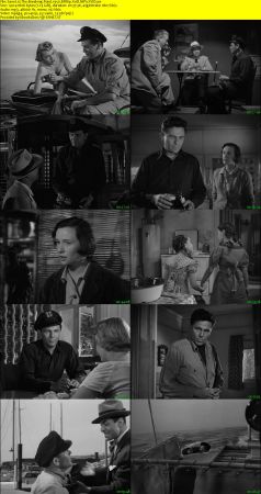 The Breaking Point 1950 BRRip XviD MP3-XVID