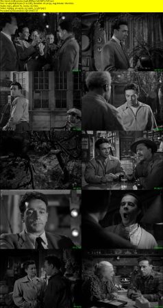 Moonrise 1948 BRRip XviD MP3-XVID