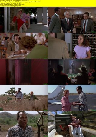 Pure Luck 1991 BRRip XviD MP3-XVID