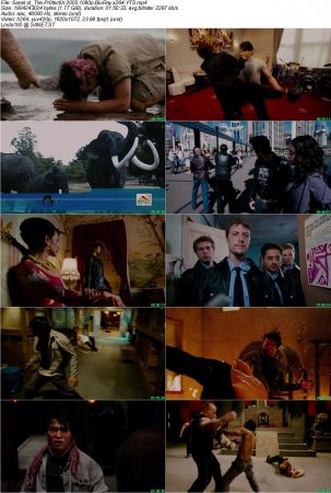The Protector 2005 1080p BluRay x264-YTS