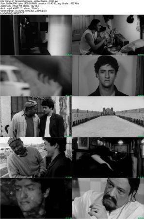 Foreign Land 1996 DVDRip DD2.0 XviD