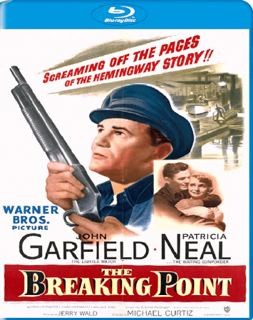 The Breaking Point 1950 BRRip XviD MP3-XVID