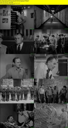 Riot in Cell Block 11 1954 1080p BluRay H264 AAC-RARBG