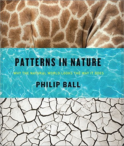 Patterns in Nature: Why the Natural World Looks the Way It Does (EPUB)