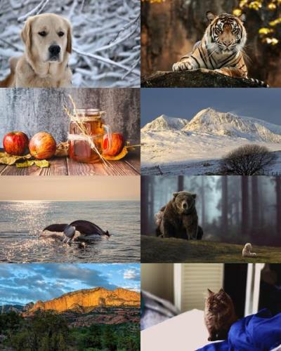 Desktop Wallpapers Mixed Pack # 760