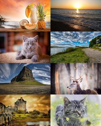 Desktop Wallpapers Mixed Pack # 751