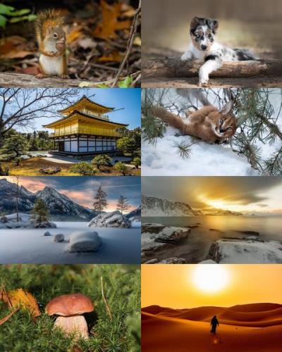Desktop Wallpapers Mixed Pack # 759