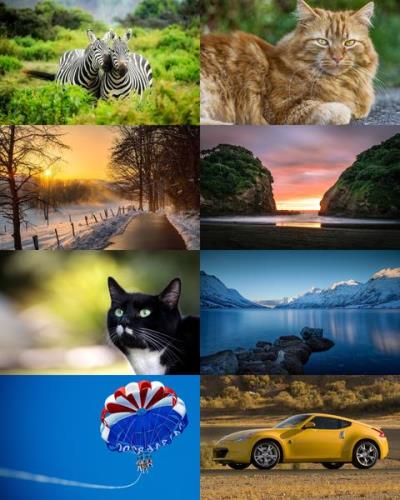 Desktop Wallpapers Mixed Pack # 753