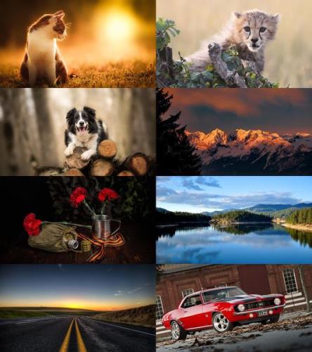 Desktop Wallpapers Mixed Pack # 754