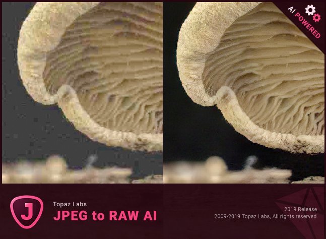 Topaz JPEG to RAW AI 2.1.3t