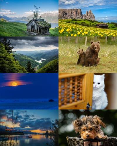 Desktop Wallpapers Mixed Pack # 767