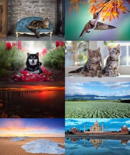 Desktop Wallpapers Mixed Pack # 769