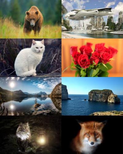 Desktop Wallpapers Mixed Pack # 761