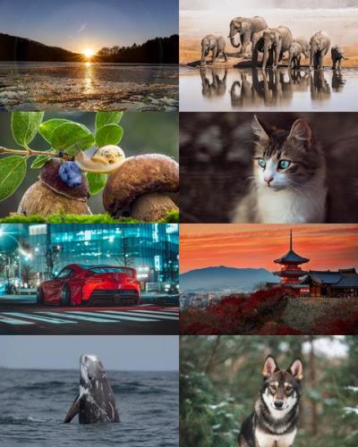 Desktop Wallpapers Mixed Pack # 763