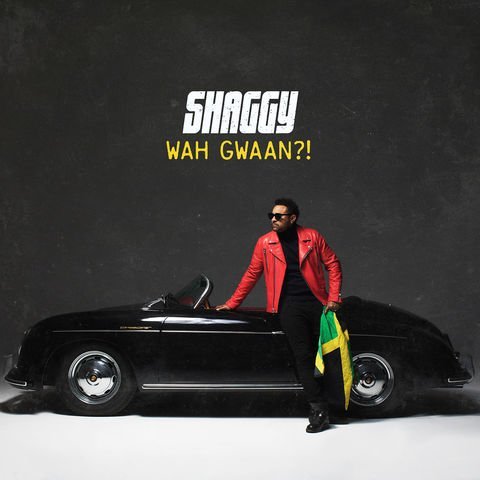 Shaggy - Wah Gwaan (2019) MP3 320kbps 