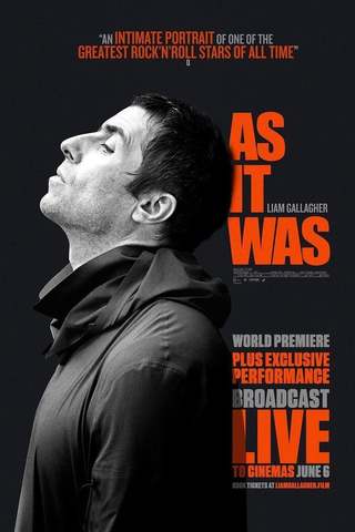 Liam As It Was (2019) 720p BluRay HEVC x265 RMTeam