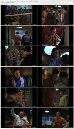 Quantum Leap S03 BluRay 10Bit 1080p AC3 H265-d3g