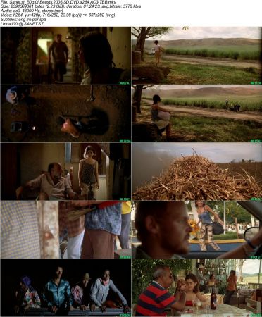 Bog of Beasts 2006 DVDRip DD2.0 x264-TBB
