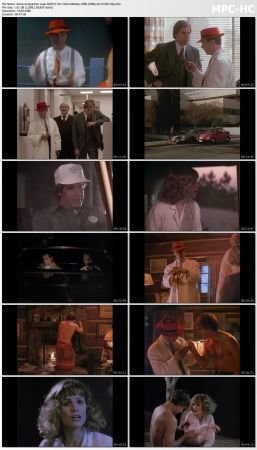 Quantum Leap S02 BluRay 10Bit 1080p AC3 H265-d3g