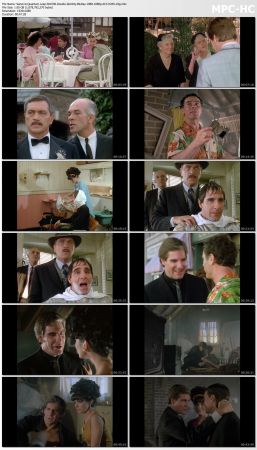 Quantum Leap S01 BluRay 10Bit 1080p AC3 H265-d3g