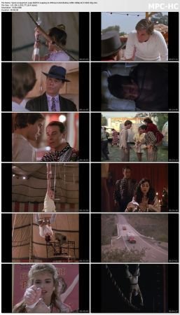 Quantum Leap S02 BluRay 10Bit 1080p AC3 H265-d3g