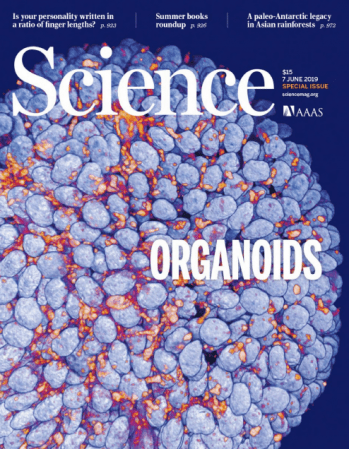 Science - 7 June 2019