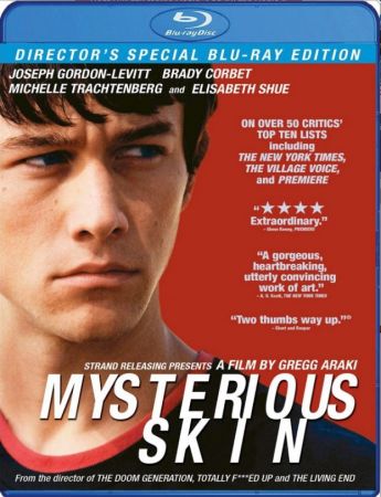 Mysterious Skin 2005 1080p BluRay DDP 5.1 10bit H265-iVy