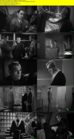 The Black Cat 1934 BRRip XviD MP3-XVID