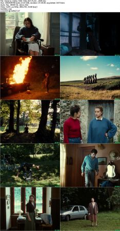 Céline 1992 720p Bluray FLAC2.0 x264-AHB