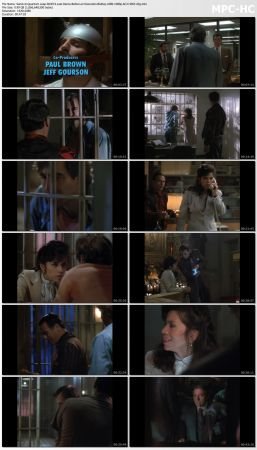 Quantum Leap S03 BluRay 10Bit 1080p AC3 H265-d3g