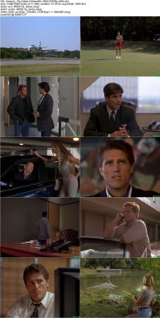 The Dallas Connection 1994 480p DVDRip DD2.0 x264 - TAGGED