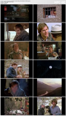 Quantum Leap S02 BluRay 10Bit 1080p AC3 H265-d3g