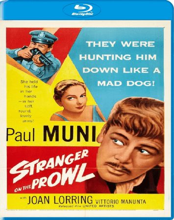 Stranger on the Prowl 1952 BRRip XviD MP3-XVID