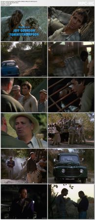 Quantum Leap S04 WEBRip 1080p AC3 H265-d3g