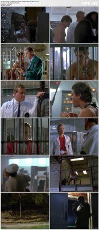 Quantum Leap S04 WEBRip 1080p AC3 H265-d3g