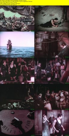 The Black Pirate 1926 BRRip XviD MP3-XVID